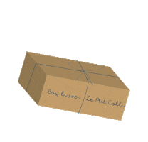 Box Unboxing Sticker by Collibris