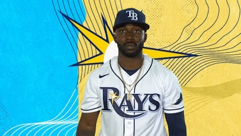 Tampa Bay Rays Baseball GIF