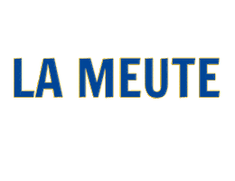 SaintAmandHandball Sticker