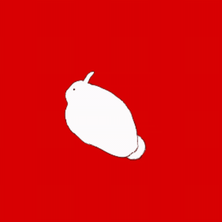 Bunny GIF