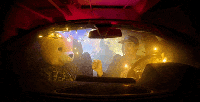 Bear Hallucinating GIF by Pure Noise Records