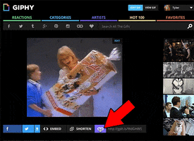 How To Share Gifs On Facebook GIF by How To Giphy