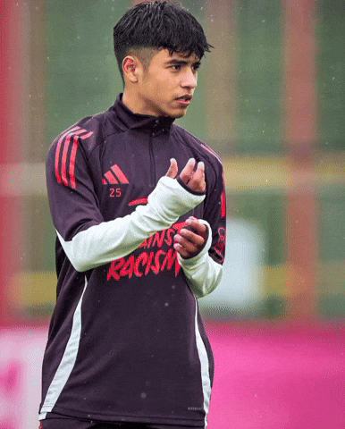 Fc Bayern Bundesliga GIF