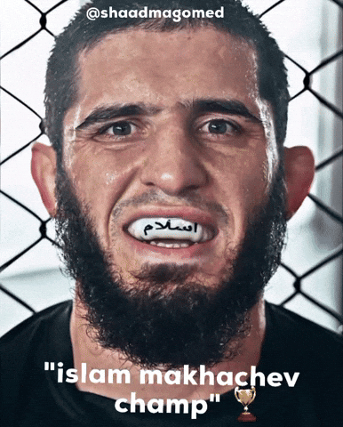 Conor Mcgregor Ufc GIF