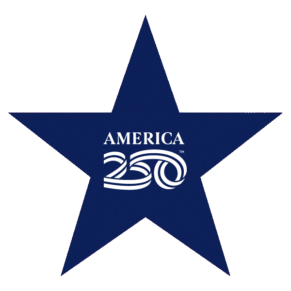 American Usa Sticker by Peace Corps