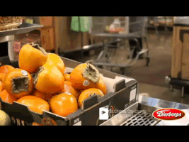 katiemariefiscus  GIF