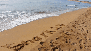 giwrgospnds shark24 GIF