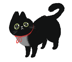 Black Cat Please Sticker