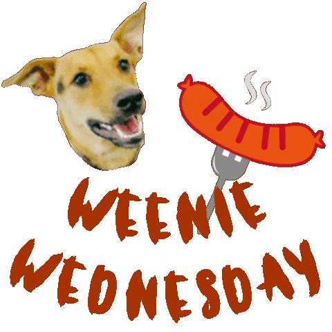 Hot Dog Doggy Daycare Sticker by waggingtailspr