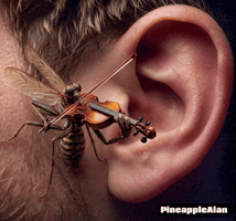 Ears Mosquito GIF