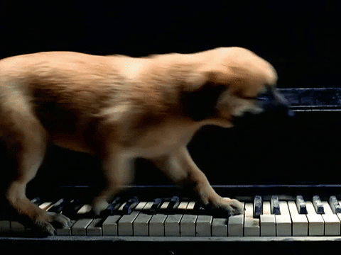 Big Boi Dog GIF by Outkast - Find & Share on GIPHY