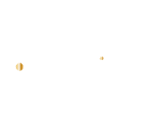 Ca2020 Sticker by ACREW