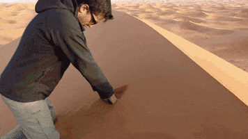 Le Mur De La Honte Film