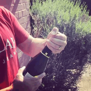 Healthwatch Essex GIF