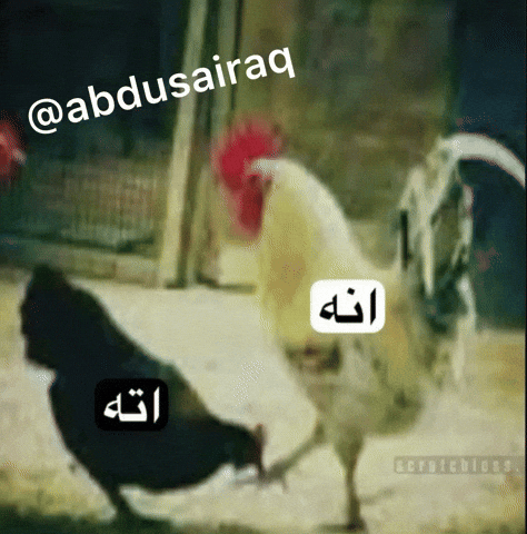 ميمز GIF