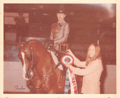 Debra Bailey Phd GIF