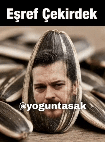 Yoguntasak GIF