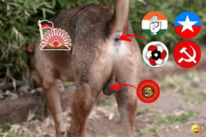 Bjp Stalin GIF