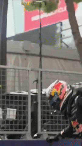 Tsolov GIF