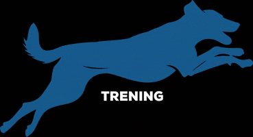 Drammen Hundepark GIF