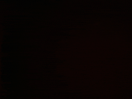 Fashion Shopping GIF by Drop Dead Couture