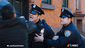 Street Fight GIF by Law & Order