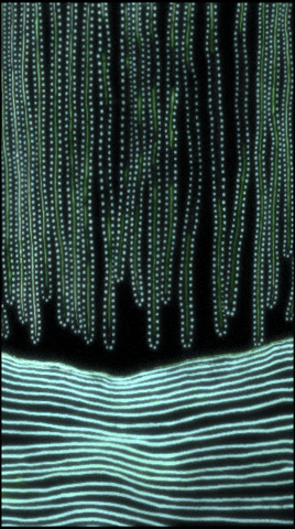 Art Glow GIF by Orla in Berlin