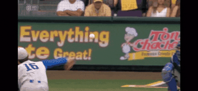 Lsu Baseball GIF