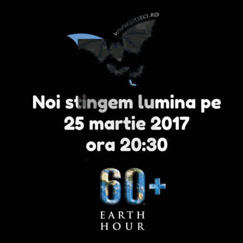anastamatescu earthhour GIF