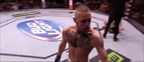 Conor Mcgregor Sport GIF by UFC