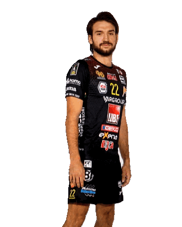 lubevolley Sticker