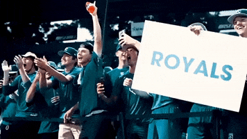 Area Code Baseball GIF