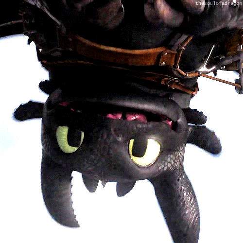toothless GIF