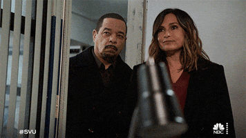 Nbc Sounds About Right GIF by SVU