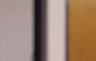 dave chappelle tyrone biggums GIF