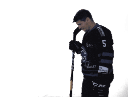 Sticker by Corsaires de Nantes