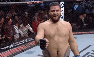 Happy Knock Out GIF by UFC