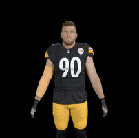 Hands Up Football GIF by Pittsburgh Steelers
