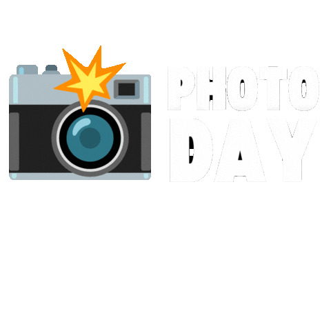Camera Wentworth Sticker by WentworthRealEstate