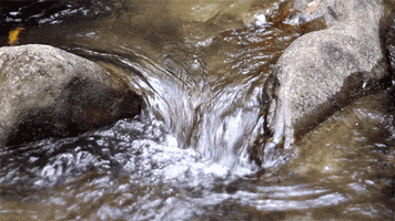 water flowing GIF