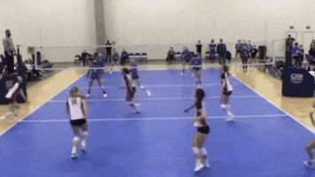 RevVolleyballAcademy volleyball boom swing kill GIF