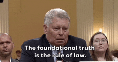 Rule Of Law GIF by GIPHY News
