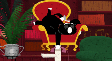 King Tubby Cats GIF by Kitty Is Not A Cat
