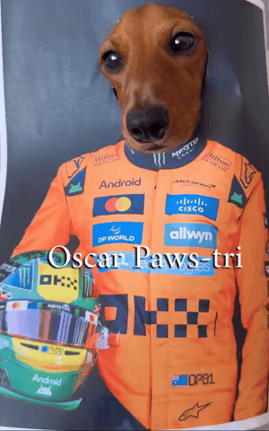 Oscar GIF