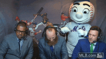 New York Mets Mr GIF by MLB