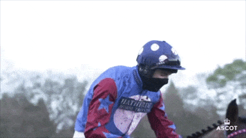 Horse Racing Love GIF by Ascot Racecourse