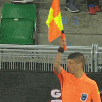 referee asse GIF by AS Saint-Etienne