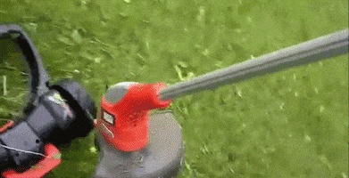 weed lawn GIF
