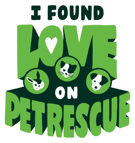 Pet Adoption GIF by PetRescue