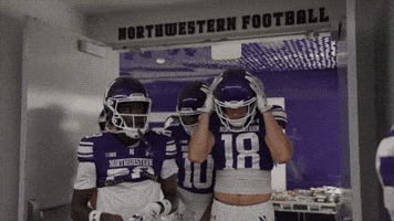 College Football Wildcats GIF by Northwestern Athletics